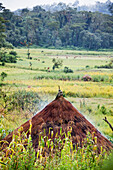 'Straw roofed hut; Ethiopia'