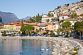 'Buildings and cars along the waterfront on Lake Garda; Malcesine, Verona, Italy'