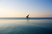 'A sailboat in the distance on the tranquil water of the Indian Ocean; Vamizi Island, Mozambique'