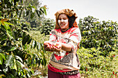 Woman holding Arabica coffee berries, Siambatan, North Sumatra, Indonesia
