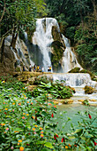 'Kuang Si Falls, a favorite side trip for tourists out of Luang Prabang; Laos'