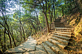 Rough and steep steps leading up a mountain near West Lake.