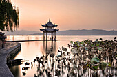 Pagoda at West Lake in Winter, with long exposure ghosting of visitors taking pictures.