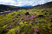 scenic view on Laugarvegur Trail in the Fjallabak area in central Iceland