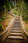 Large wooden staircase in Lynn Valley, British Columbia, Canada.