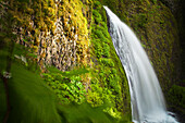 Lush vegetation surrounds Wahkeena Falls in the Columbia River Gorge, Oregon.