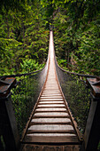 Lynn Canyon Suspension Bridgenear Vancouver, Canada.