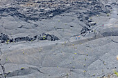 Hikers on the floor of the K?lauea Iki crater in Hawai?i Volcanoes National Park, Hawaii.