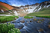 Wildflowers and a stream coming from upper Blue Lake in the Mount Sneffels Wilderness near Ouray, Colorado.