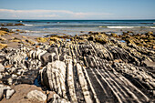 Rocks shaped by the water on the Pacific coast near Malibu, California.
