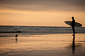Guy with wetsuit and surfboard stands in front of the Ocean at sunset in Huntington Beach, California.