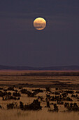 Moonrise at dusk, near Cimarron, New Mexico.