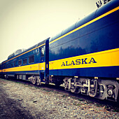 Blue and yellow Alaska locomotive train.  The train goes all over the state, including through the mountain, to Denali National Park