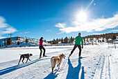 Man and Woman cross country ski with dogs.