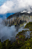 'A spectacular view materializes out of the mist; Kalalau, Kauai, Hawaii, United States of America'