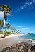 'Palm trees and sand line the coastline of a caribbean island; Nesbit Beach, Nevis'