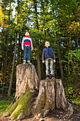 'Two brothers standing on tree stumps in a redwood forest; Langley, British Columbia, Canada'