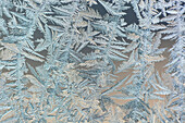 'Frost patterns are captured on a frosted window pane in the early morning on Vancouver Island; Duncan, British Columbia, Canada'