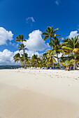 Cayo Levantado, Samana, Eastern Peninsula de Samana, Dominican Republic, West Indies, Caribbean, Central America