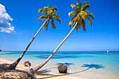 El Portillo Beach, Las Terrenas, Samana Peninsula, Dominican Republic, West Indies, Caribbean, Central America