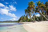Playa Rincon, Samana Peninsula, Dominican Republic, West Indies, Caribbean, Central America