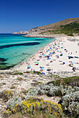 Beach and bay of Cala Mesquita, Capdepera, Majorca (Mallorca), Balearic Islands (Islas Baleares), Spain, Mediterranean, Europe