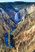 Lower Falls and the Grand Canyon of the Yellowstone, Yellowstone National Park, UNESCO World Heritage Site, Wyoming, United States of America, North America