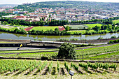 River Main, Wurzburg, Bavaria, Germany, Europe