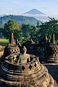 Early morning light at the stupas of the temple complex of Borobodur, UNESCO World Heritage Site, Java, Indonesia, Southeast Asia, Asia