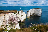 Chalk stacks and cliffs at Old Harry Rocks, between Swanage and Purbeck, Dorset, Jurassic Coast, UNESCO World Heritage Site, England, United Kingdom, Europe