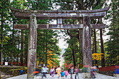 Torii gate, Nikko shrine, UNESCO World Heritage Site, Tochigi Prefecture, Honshu, Japan, Asia