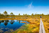 Viru Bog (Viru Raba) peat swamp, Lahemaa National Park, Harjumaa, Laane-Virumaa, Estonia, Baltic States, Europe