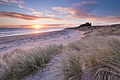 Sunrise over Bamburgh Beach and Castle from the sand dunes, Northumberland, England, United Kingdom, Europe