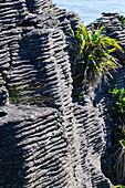 Beautiful rock formation, Pancake Rocks, Paparoa National Park, West Coast, South Island, New Zealand, Pacific