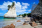 Giant rock on the sandy beach of Cathedral Cove, Coromandel, North Island, New Zealand, Pacific