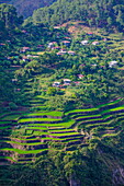 View from Kiltepan tower over the rice terraces, Sagada, Luzon, Philippines, Southeast Asia, Asia