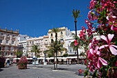 Plaza de San Juan de Dios, square in the historical town of Cadiz, Cadiz Province, Andalusia, Spain, Europe