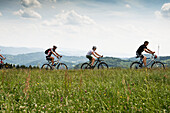 Mountain bikers near Freiamt, north of Freiburg im Breisgau, Black Forest, Baden-Wuerttemberg, Germany