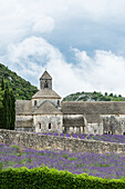 Zisterzienserabtei Notre Dame de Sénanque, bei Gordes, Département Vaucluse, Provence-Alpes-Côte d´Azur, Provence, Frankreich