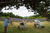 Lavendelfelder und Maler, Aurel bei Sault, Département Vaucluse, Provence-Alpes-Côte d´Azur, Provence, Frankreich
