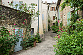 Wohnhäuser in Grignan, Département Drome, Region Rhones-Alpes, Provence, Frankreich