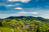 Weinberge, Durbach, Ortenau, Schwarzwald, Baden-Württemberg, Deutschland