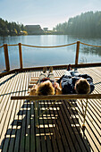 Couple sunbathing at Lake Mummelsee, Seebach, near Achern, Black Forest, Baden-Wuerttemberg, Germany