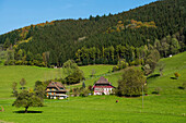 Wolfach valley, near Wolfach, Ortenau, Black Forest, Baden-Wuerttemberg, Germany