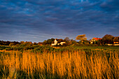 Friesenhaus, Steenodde, Amrum, Nordfriesische Inseln, Nordfriesland, Schleswig-Holstein, Deutschland