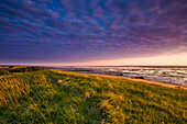Sunrise over the wadden sea, Amrum Island, North Frisian Islands, Schleswig-Holstein, Germany