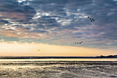 Wolkenhimmel über Wattenmeer, Steenodde, Amrum, Nordfriesische Inseln, Nordfriesland, Schleswig-Holstein, Deutschland