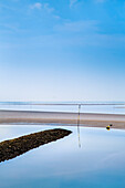 Sandbank, Hallig Langeneß, Nordfriesische Inseln, Nordfriesland, Schleswig-Holstein, Deutschland