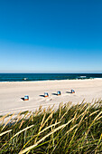 Beach chairs and dunes, Sylt Island, North Frisian Islands, Schleswig-Holstein, Germany