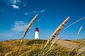 Leuchtturm List-West, Ellenbogen, Sylt, Nordfriesland, Schleswig-Holstein, Deutschland